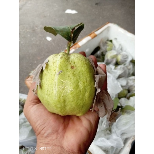 

1Kg Jambu Kristal Non Biji Fresh