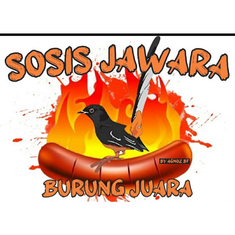 Sosis murai batu pengganti extra fooding, murai tetap gacor dan sehat tanpa EF