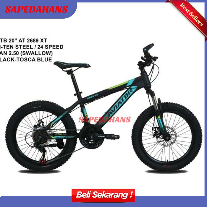 Sepeda Gunung Sepeda Anak Laki Laki Sepeda MTB 20 inch Aviator 2689RS DN107 DN107