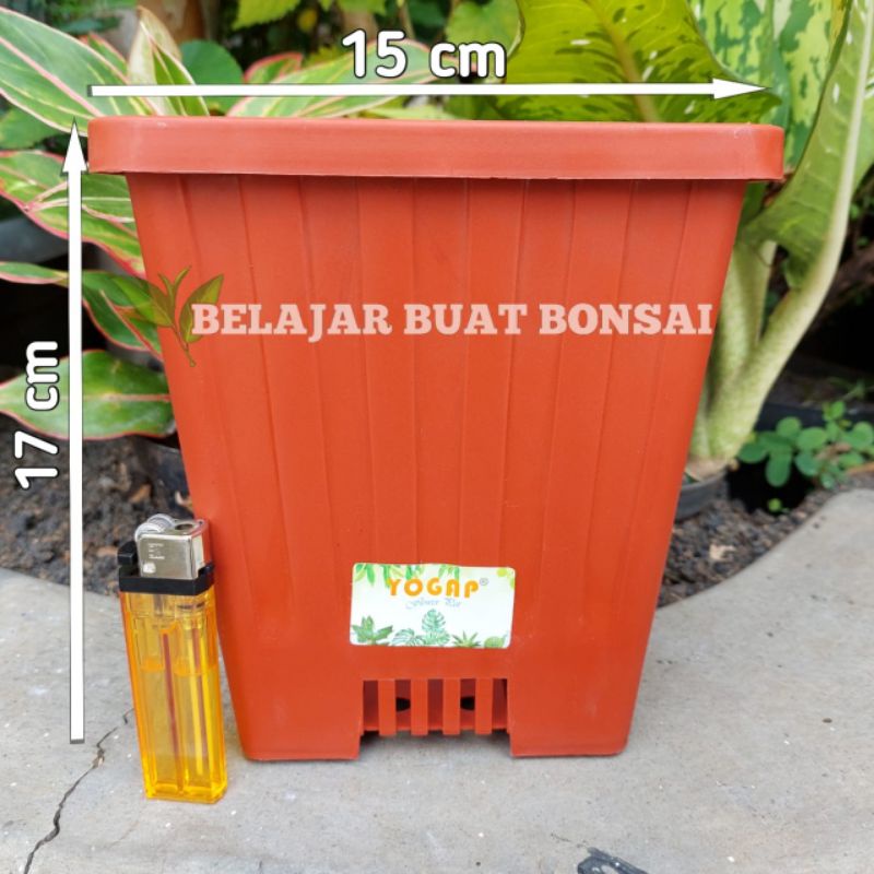 Pot Kotak YPK 15 Cm Pot Tanaman