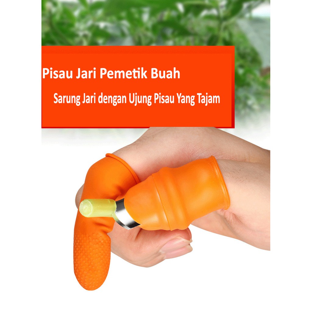 Sarung Jari Jempol Bahan Silicon Alat Bantu Petik Buah dan Sayuran