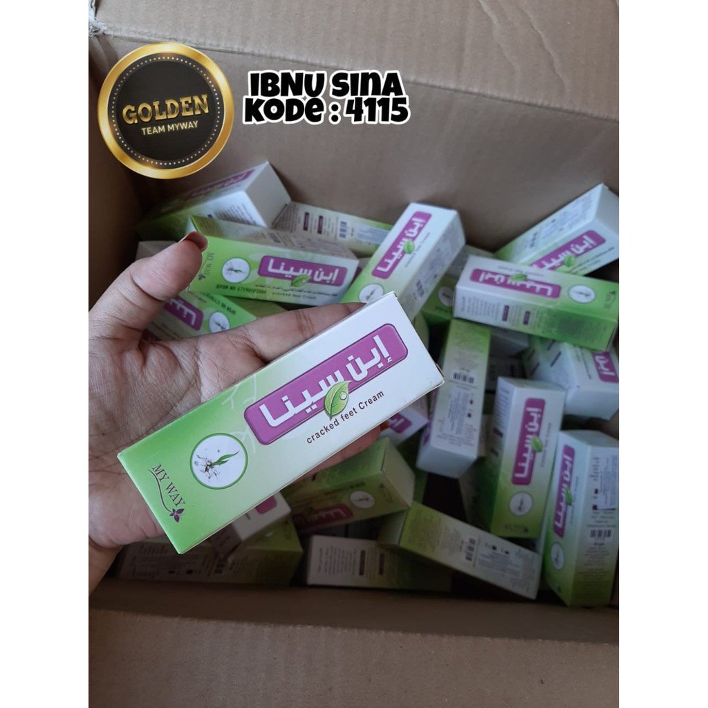Ibnu Sina My Way