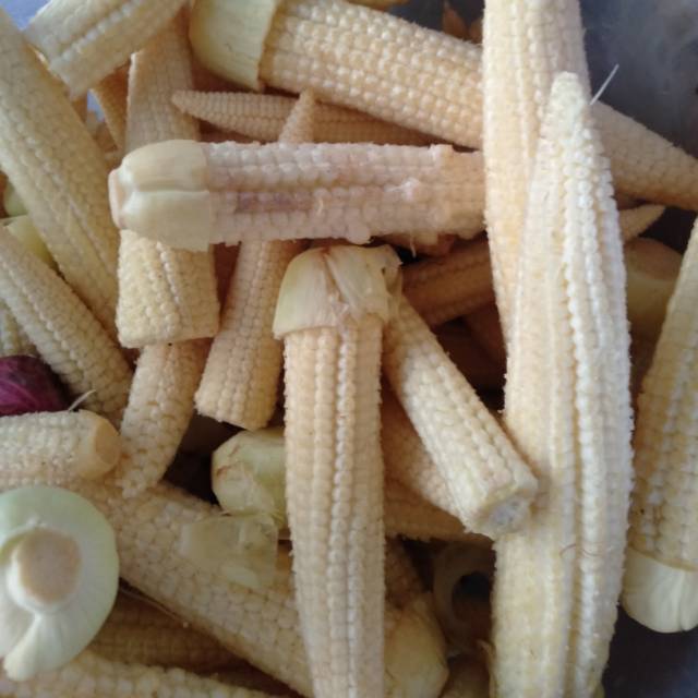 

Jagung Baby 300gram habis petik