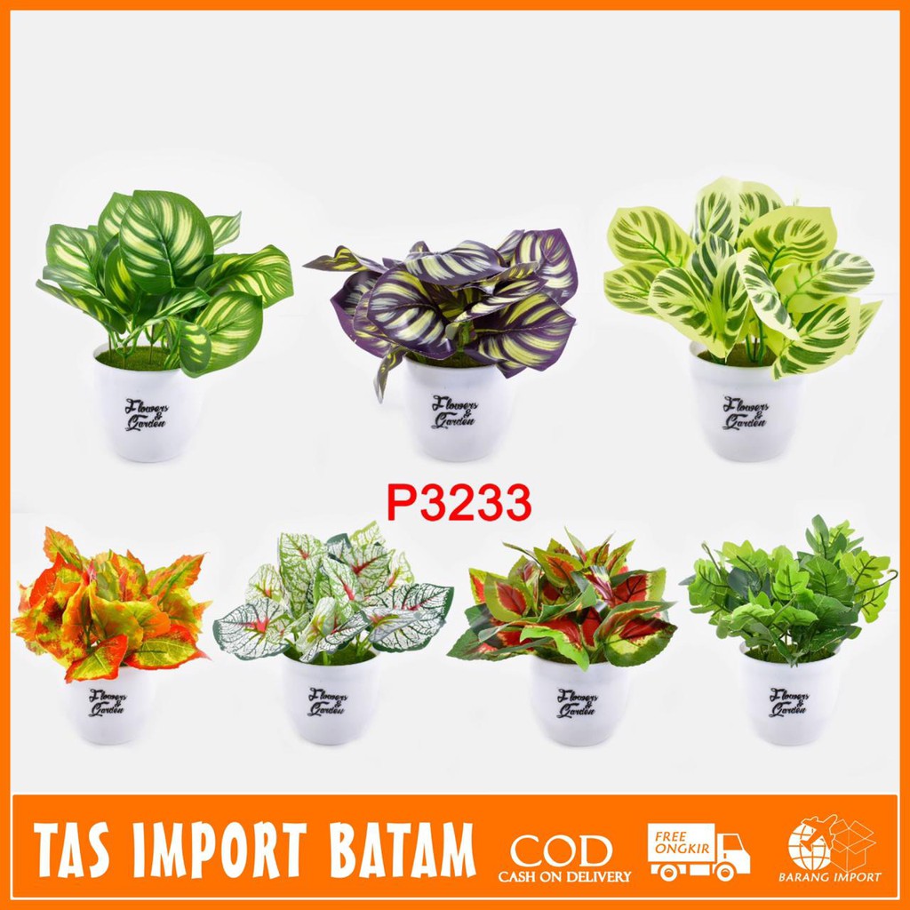 TIB TANAMAN HIAS TANAMAN DAUN PLASTIK TANAMAN HIAS RUMAH BUNGA HIAS BUNGA PLASTIK BUNGA P3233