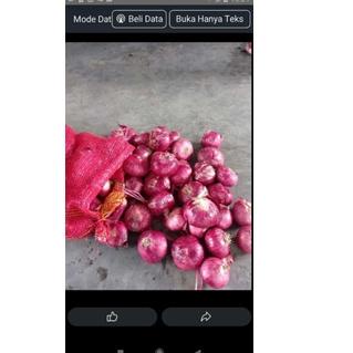 

⇦ BAWANG MERAH IMPOR / BAWANG MERAH INDIA 1KG ㅖ