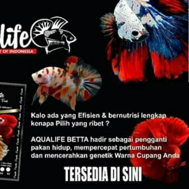 Pelet Aqualife Betta Food / Pelet Premium Ikan Cupang S2 50Gram