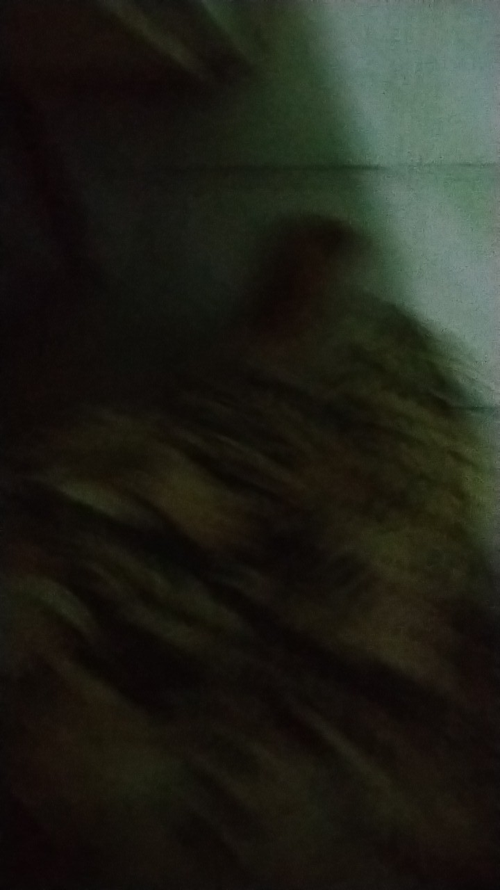 Terlaris Atasan Tunik Batik Dolby Dolbi Dobby Doby Tenun Sutra