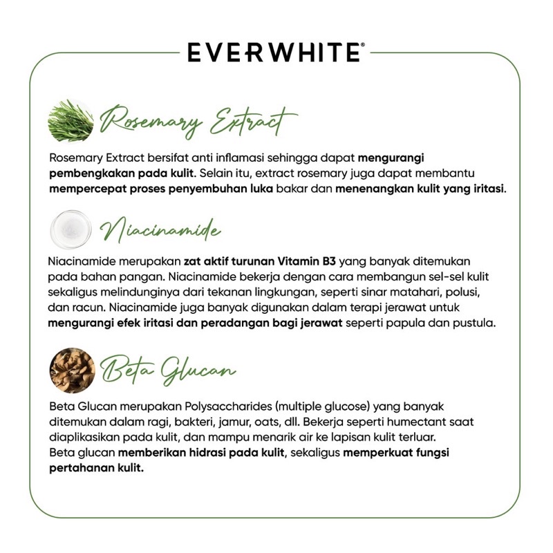 EVERWHITE Mugwort Pore Clay Mask Indonesia / Facial Wash Toner Essence Serum Eye Cream Masker Soap