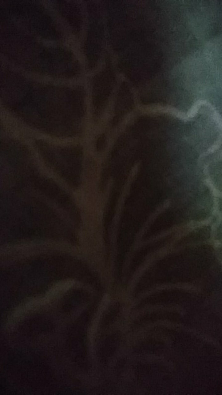 Batik Couple / Baju Couple / Baju Seragam