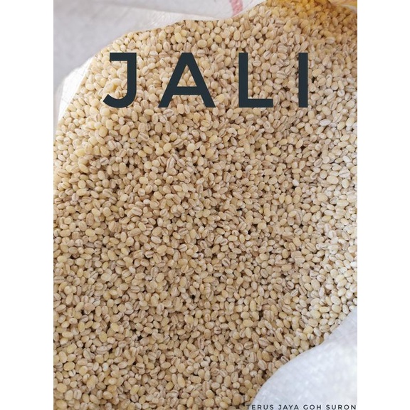 

Jali Jali Holland 250G
