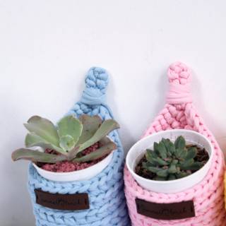 Hanging Basket Plant Hanger Pot  Gantung  Pot  Bunga Pot  