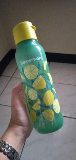 Eco Artz Eco Fancy 750ml Malaysia Eco Artz Bisa Beli Ecer