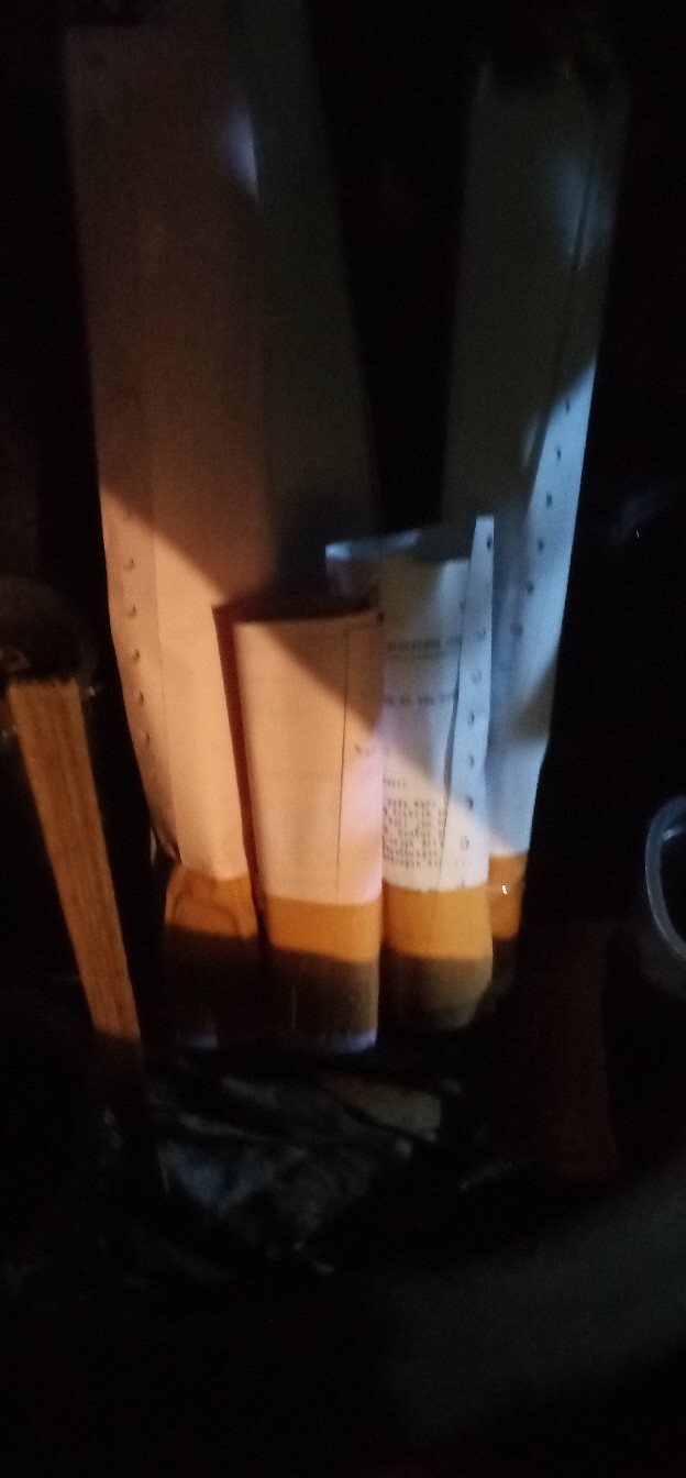 Tanaman Hias Agglonema Sarikit