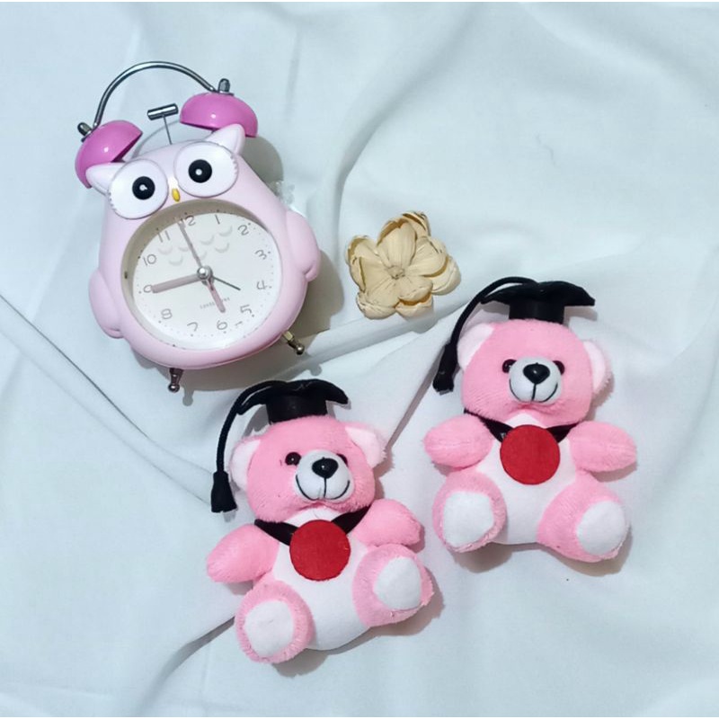 Boneka bear mini | boneka wisuda murah 12 cm