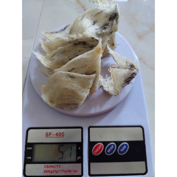 

Sarang burung walet 50gr sudut masih kotor