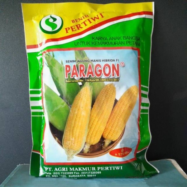 Benih Bibit Jagung Manis Paragon F1 1750 Biji Sayuran Hibrida Pertiwi