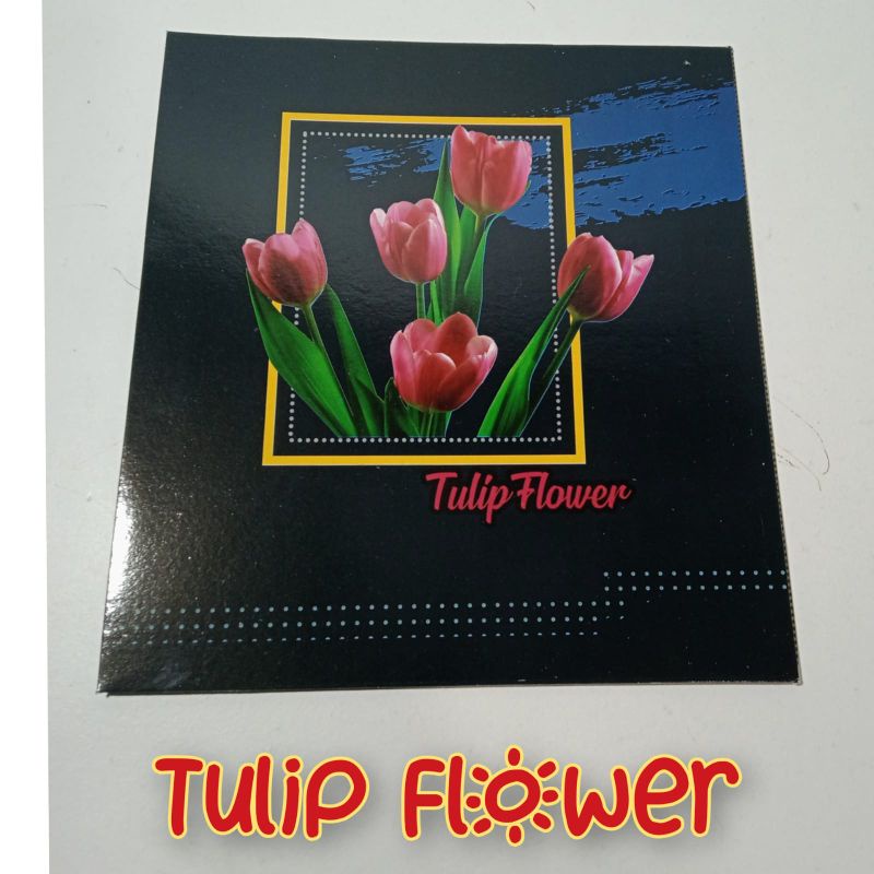 [ MURAH ] ALBUM FOTO MINIMALIS 4R ISI 40 POCKET LILY FLOWERS