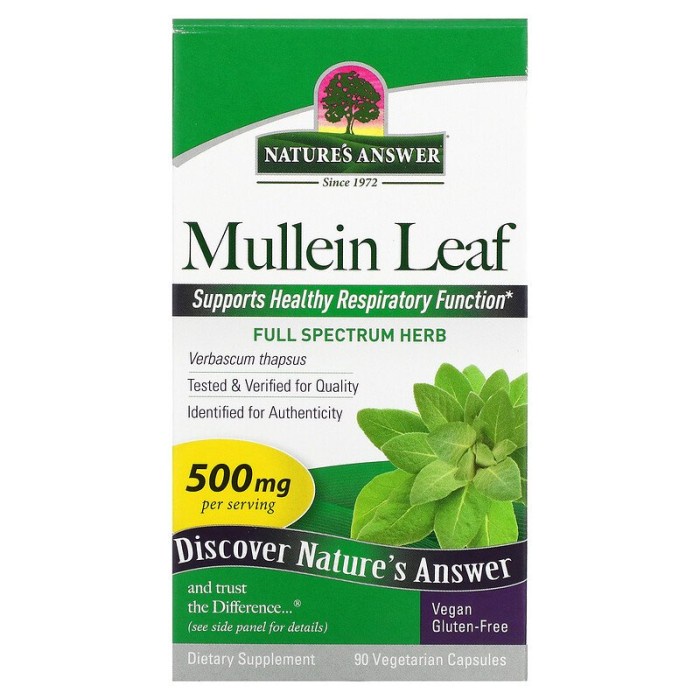 Nature's Answer Mullein Leaf 500 mg 90 Vegetarian Capsules
