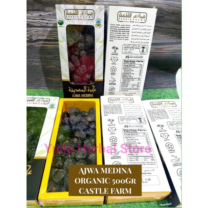 

TERBARU Kurma ajwa medina 500gr kurma ajwa organic castle farm jumbo AJWA ORIG/KURMA 1KG/KURMA BARARI/KURMA RUTHOB/KURMA BAM/KURMA PALM FRUIT/KURMA TANGKAI/KURMA AZWA/KURMA SUKKARI/KURMA SAFAWI/KURMA TUNISIA/KURMA MUDA KUNING/KURMA MUDA HIJAU/KURMA