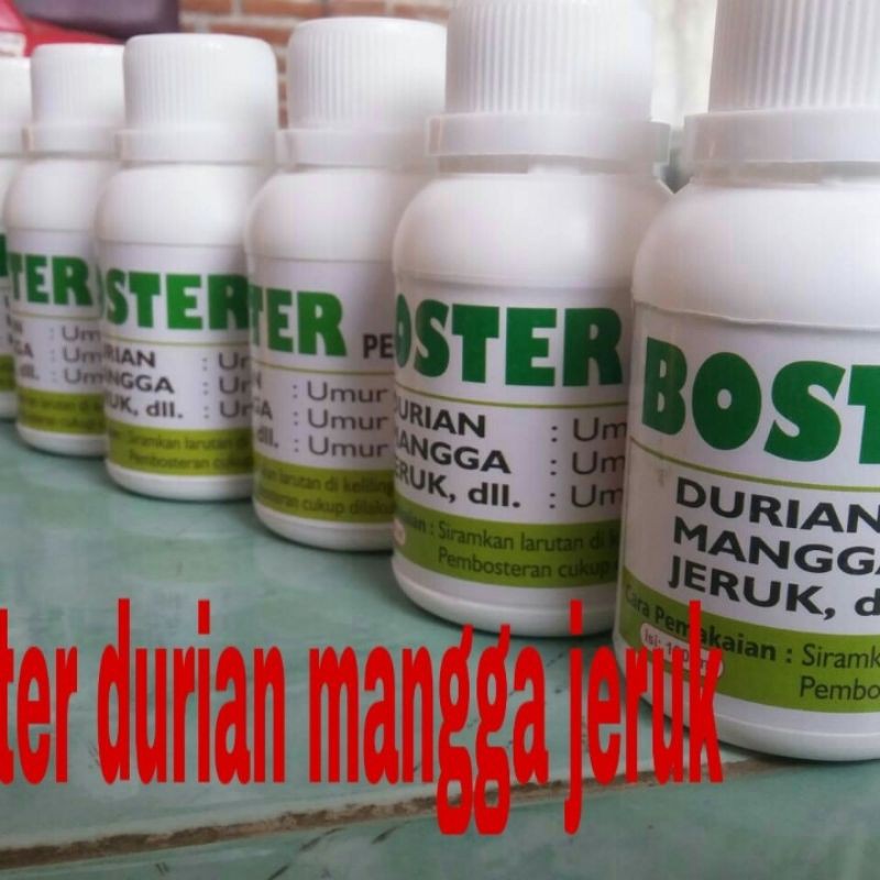 boster durian mangga jeruk dan lainya
