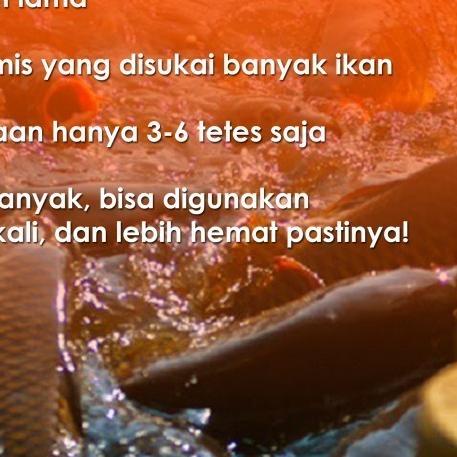 Essen Ikan Super RS31 | Esen Ikan Untuk Ikan Mas, Lele, Bawal, Nila,