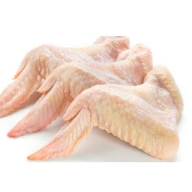 

Sayap Ayam Seger