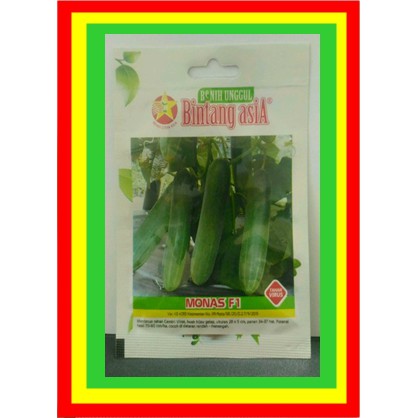 Benih Mentimun MONAS F1