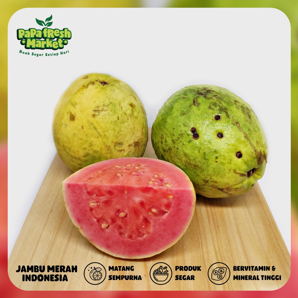 

JAMBU MERAH SEGAR PENGIRIMAN J&T