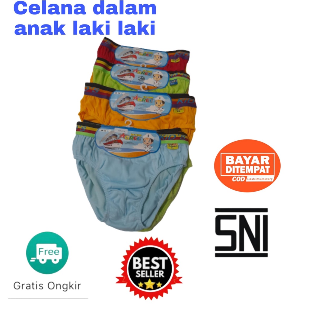 Celana Dalam Cd Sempak Anak Cowok Pria Agree CD AG101KL 3Pcs