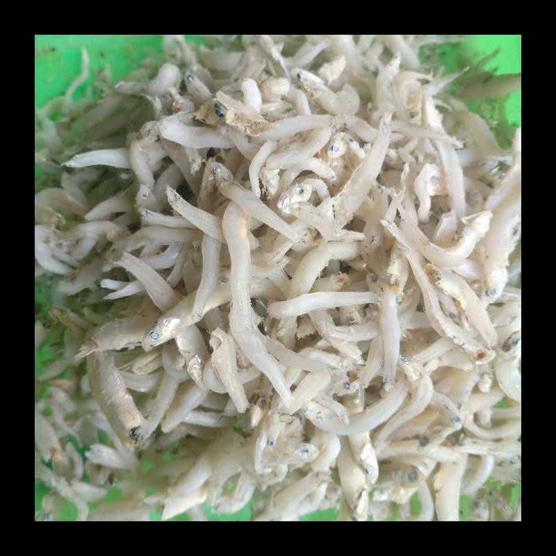 

SALE! IKAN ASIN TERI MEDAN PER 500GR MURAH
