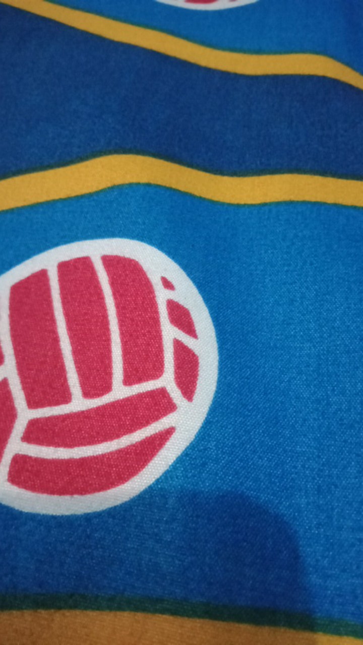 Cetakan Coklat Puding Mika Buah Nanas