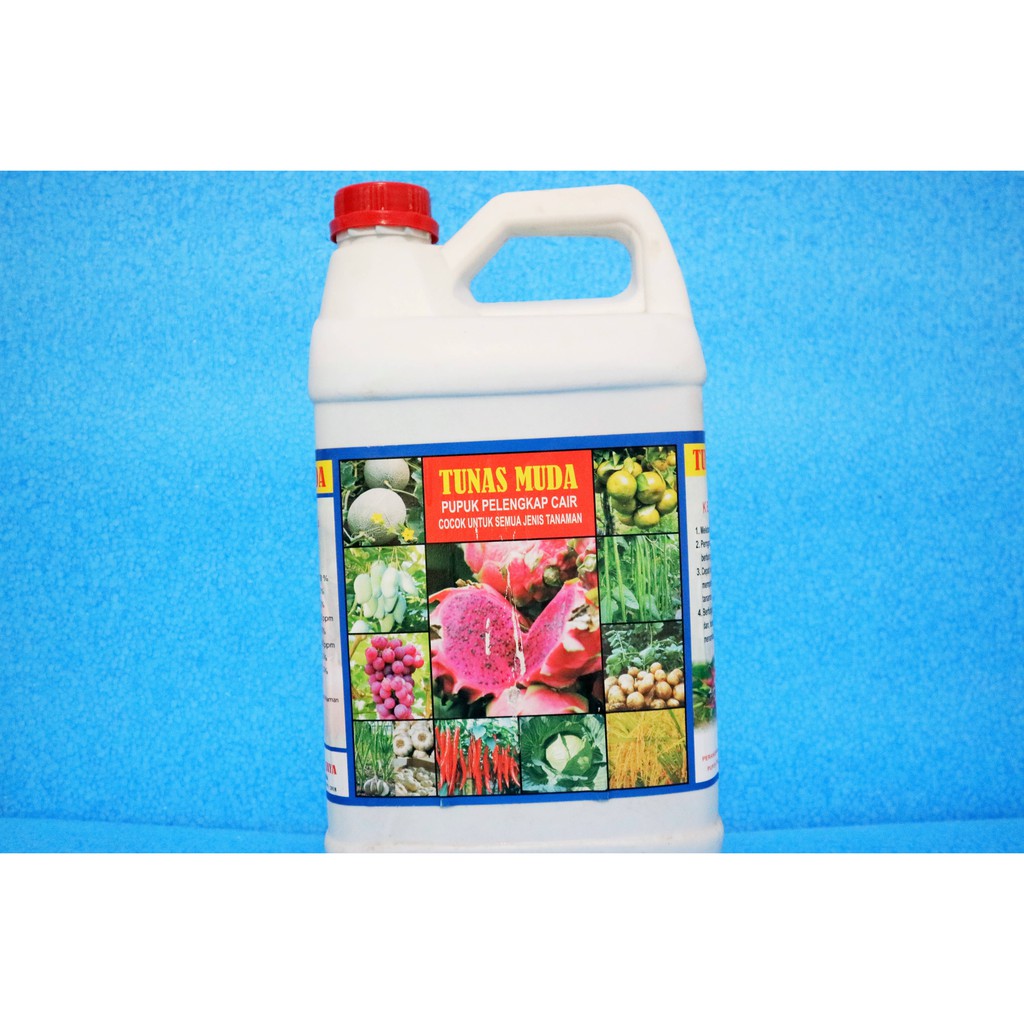 Jual TUNAS MUDA 5 LITER Shopee Indonesia