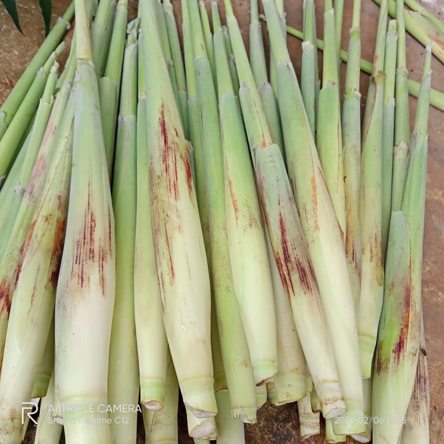 

terubuk telor turubuk sayur lezat 500gram siap dimasak