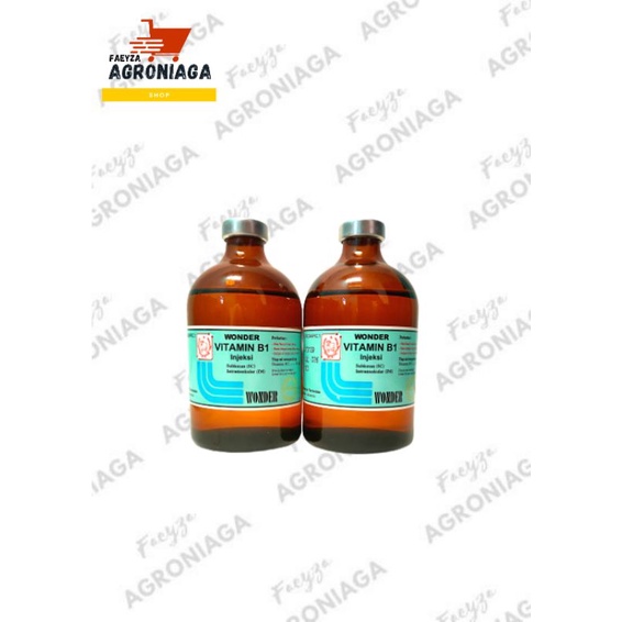 Vitamin B1 Injeksi 100 ml Wonder