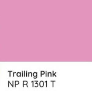 Cat | Vinilex 1301 T Trailing Pink Cat Tinting Nippon Paint Interior Galon