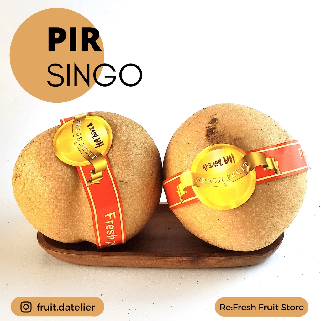 

Pir Singo Bibit Korea Pear