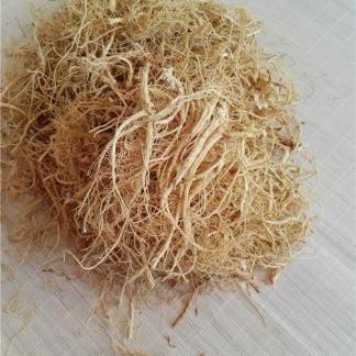 

SGS Akar Ginseng Yang Sheng Xu