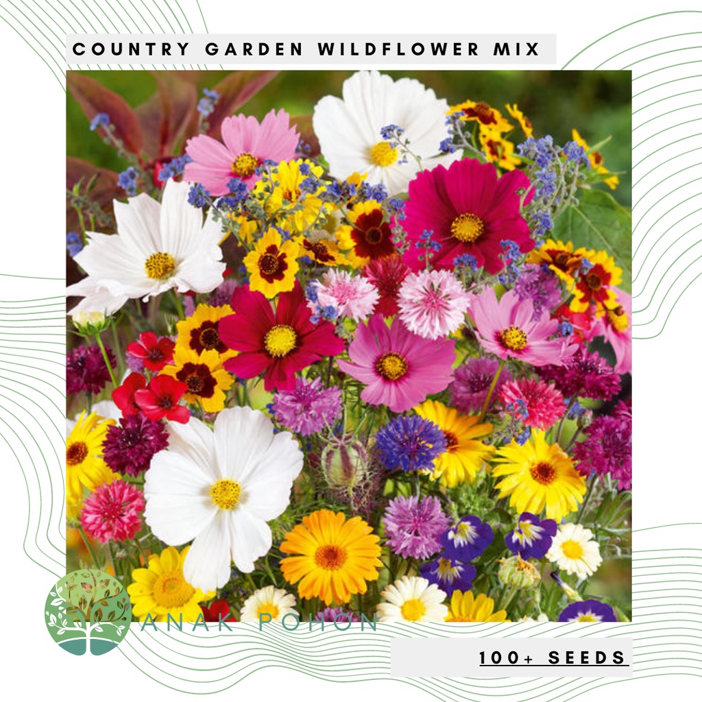 Paket Benih Bunga Country Garden Wildflower Mix Seeds (100+ SEEDS)