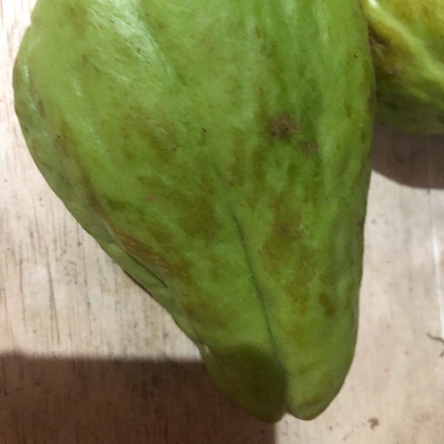 

Labu siem/ sayur Labu/ 3.000/biji