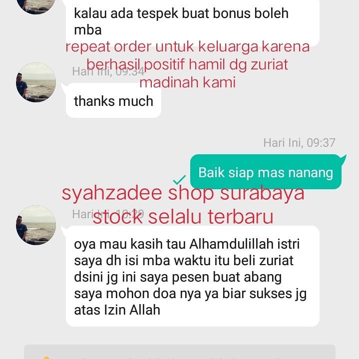 TERMURAH Buah Zuriat ORIGINAL single promil / buah doum / adam hawa program hamil