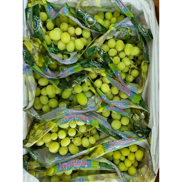 

anggur ijo non biji 10 kg 1 dus