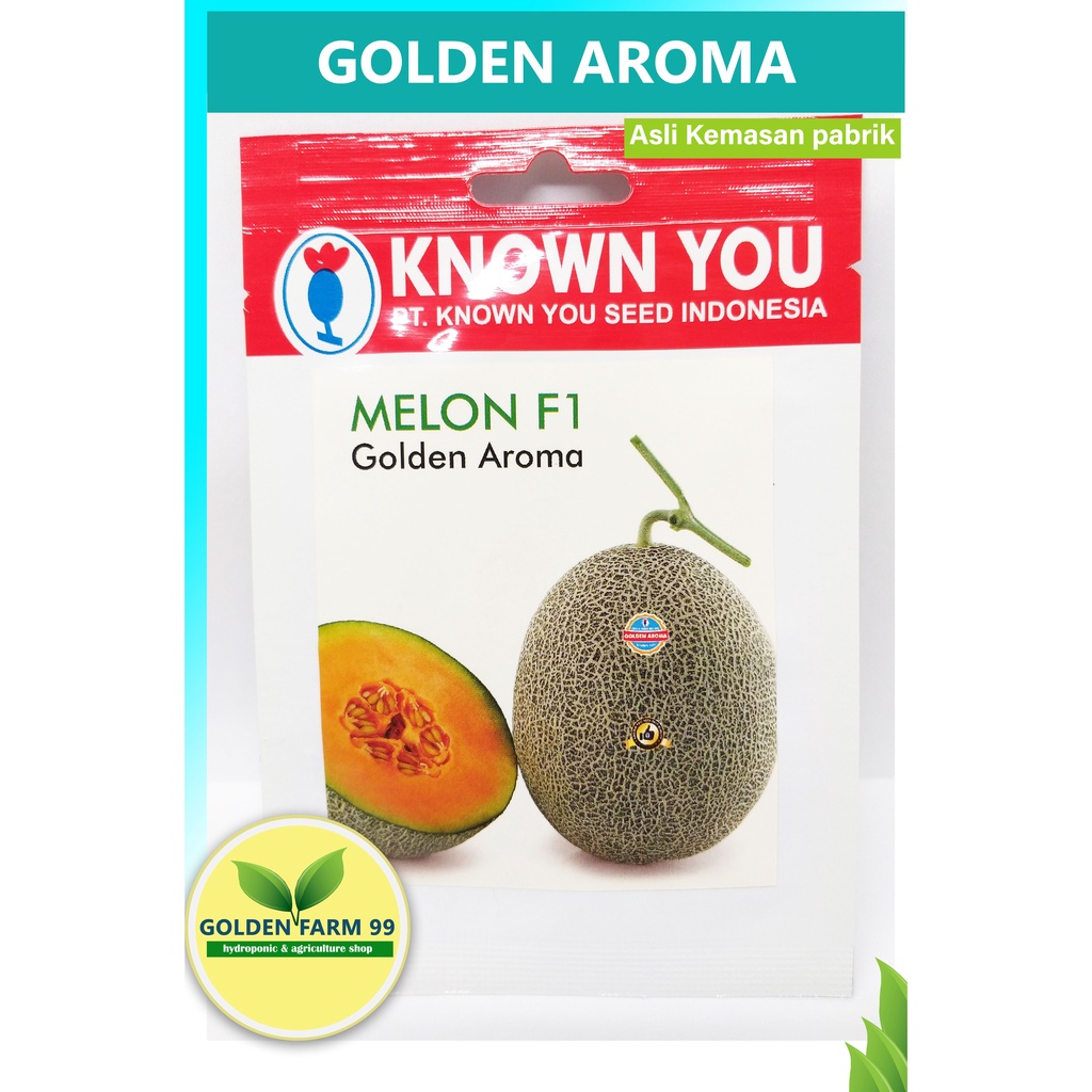 Benih / bibit Melon F1 ( Golden Aroma )