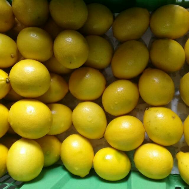 

Lemon California