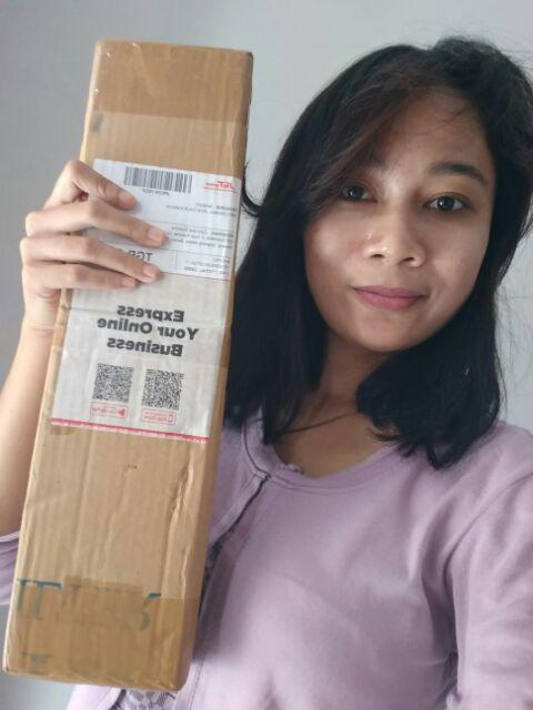 Bibit Bidara Arab/sidr 25-35cm