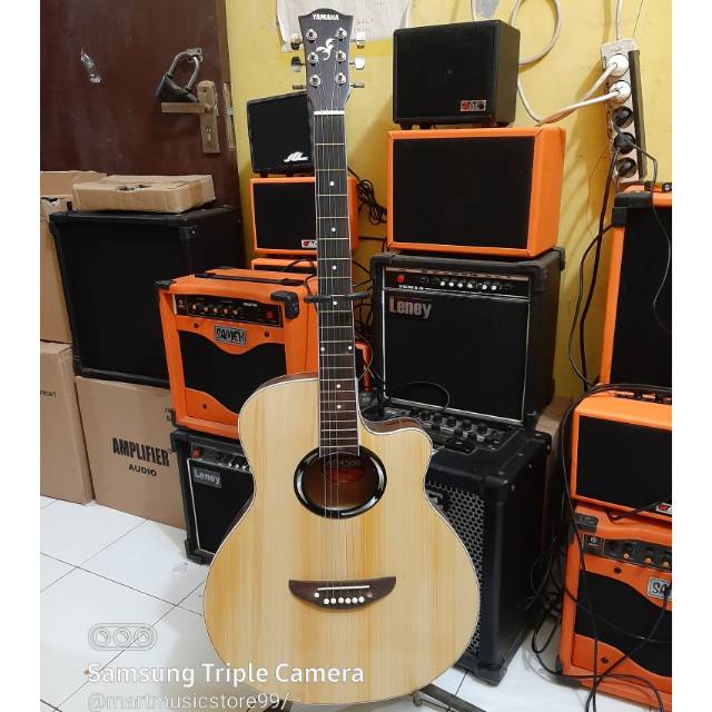 Gitar Akustik Model APX500