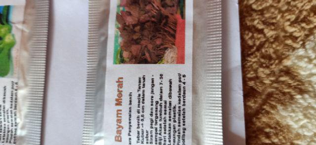 Benih Bayam Merah, Jual Benih Bayam Merah Murah Enak Dimakan