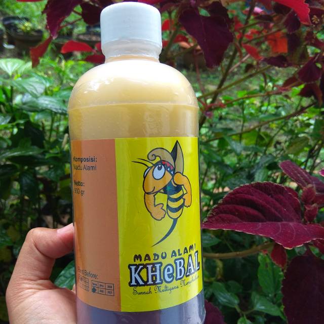 

Madu murni khebal 600gr