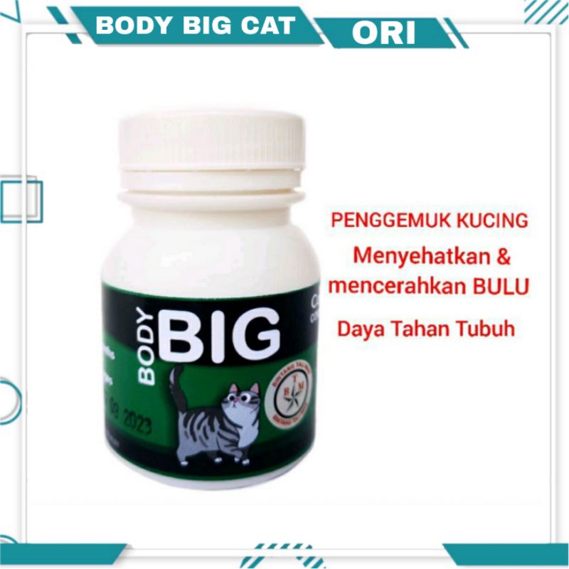 BODY BIG CAT ORI / PENGGEMUK KUCING / VITAMIN KUCING / CAT FATER POWDER / BTM / BIG