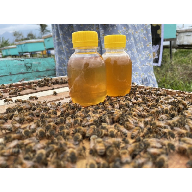 

sample atau contoh madu murni asli nektar bunga