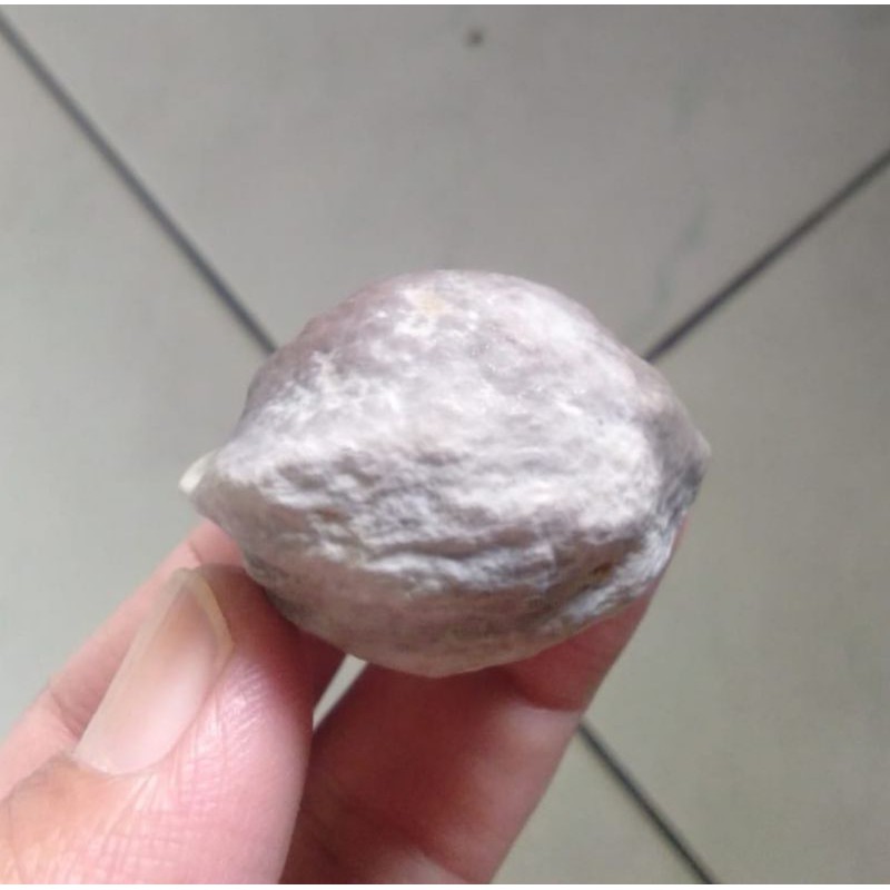 Muncang Adu Mayit Silang Eti pelak kaliwiro